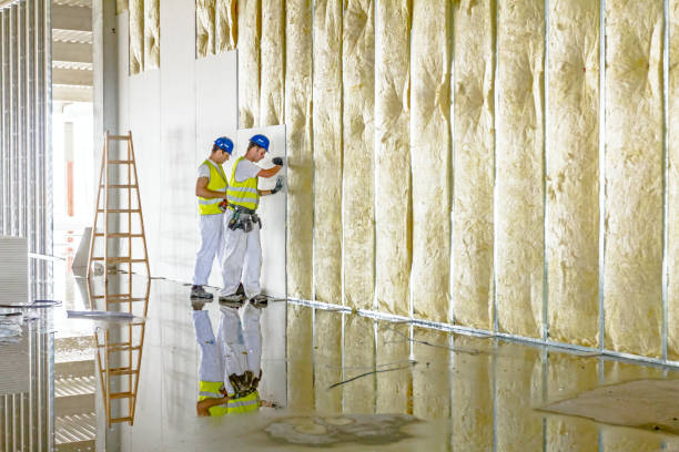 Best Commercial Insulation in Jones Creek, TX